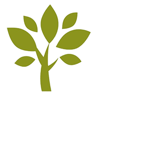 Sampuanlar Yves Rocher